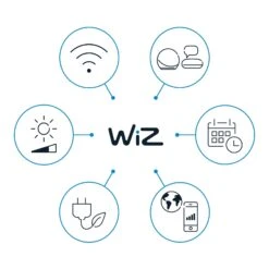 WiZ String Lights LED-Außenlichterkette, CCT, RGB -Paulmann Verkaufsgeschäft 10003623 7