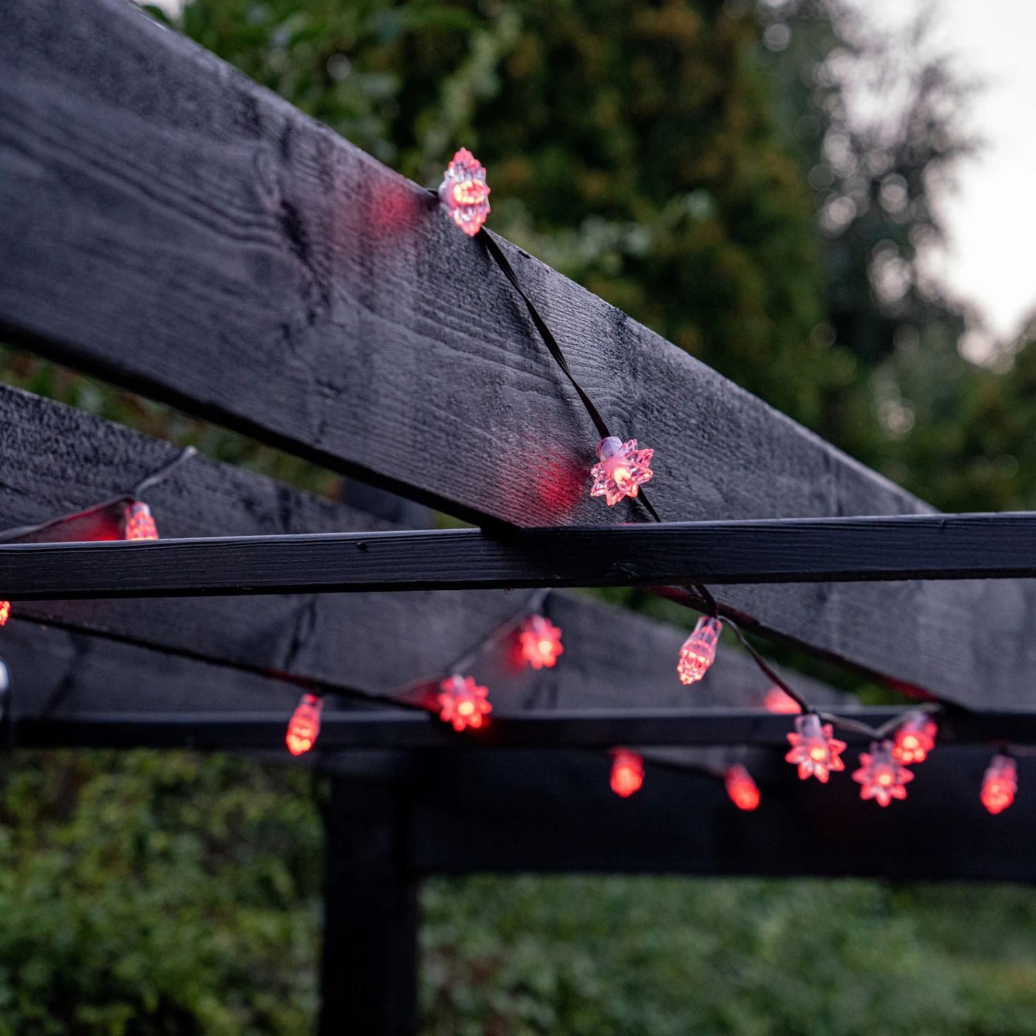 Lite Bulb Moments Lichterkette 50x Stern, 10m 3 Lite Bulb Moments Lichterkette 50x Stern, 10m – Bild 3