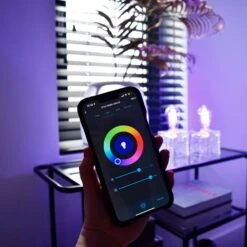 Calex Smart Rustic E27 ST64 LED 4,9W Filament RGBW 10 Calex Smart Rustic E27 ST64 LED 4,9W Filament RGBW -Paulmann Verkaufsgeschäft 10011465 4