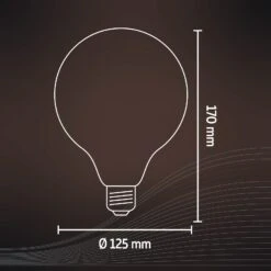 Calex Smart E27 G95 7W LED-Filament 1800-3000K 2er 10 Calex Smart E27 G95 7W LED-Filament 1800-3000K 2er -Paulmann Verkaufsgeschäft 10011575 4