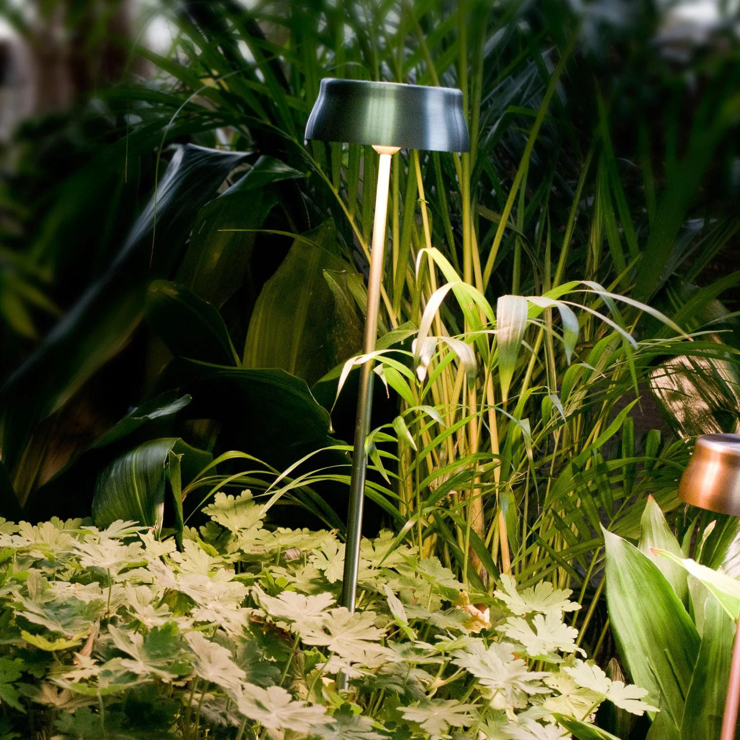 Zafferano Sister Light Akkulampe Erdspieß Grün 2 Zafferano Sister Light Akkulampe Erdspieß Grün – Bild 2