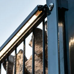 LED-Leuchtleiste, DSM-Zäune, Alu, 196cm, Anthrazit 14 LED-Leuchtleiste, DSM-Zäune, Alu, 196cm, Anthrazit -Paulmann Verkaufsgeschäft 10016689 5