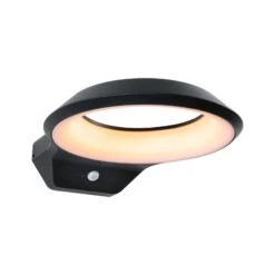 Paulmann Anela LED-Sensor-Außenwandleuchte 2.200 K