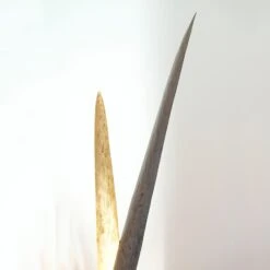 Palustre - Eine Schmückende Stehleuchte 5 Palustre - Eine Schmückende Stehleuchte -Paulmann Verkaufsgeschäft 4512501 2