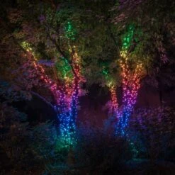 Lichterkette Twinkly RGB, Schwarz, 100-flammig 8m