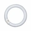 OSRAM G10q 40W 865 Lumilux T9C Leuchtstoffring