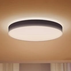 Philips Hue Enrave LED-Deckenlampe 55,1cm Schwarz