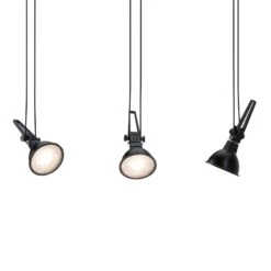 Paulmann Comet Einzelspot Für Seilsystem, Schwarz -Paulmann Verkaufsgeschäft 7602737 5