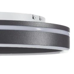 Paul Neuhaus Q-VITO LED-Deckenlampe 40cm Anthrazit -Paulmann Verkaufsgeschäft 7610793 3