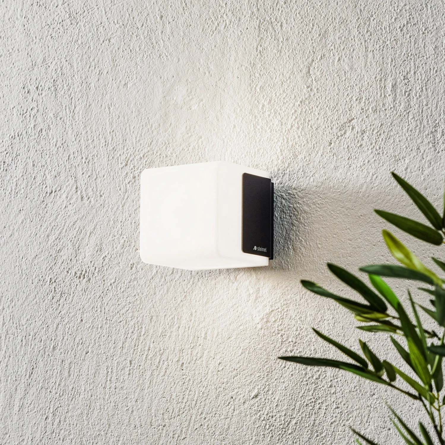 STEINEL L 835 C LED-Außenwandlampe Ohne Sensor 1 STEINEL L 835 C LED-Außenwandlampe Ohne Sensor