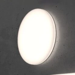 STEINEL RS PRO R10 Plus SC LED-Deckenlampe 3.000 K 7 STEINEL RS PRO R10 Plus SC LED-Deckenlampe 3.000 K -Paulmann Verkaufsgeschäft 8506135 3