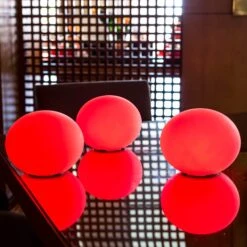 Steuerbare LED-Dekoleuchte Flatball XXS IP68 12 Steuerbare LED-Dekoleuchte Flatball XXS IP68 -Paulmann Verkaufsgeschäft 8590034 4