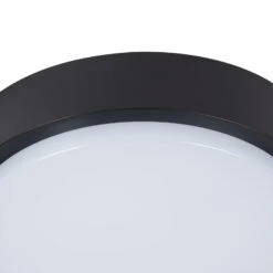 LED-Außendeckenlampe Nermin, IP65, Rund 15 LED-Außendeckenlampe Nermin, IP65, Rund -Paulmann Verkaufsgeschäft 9949011 6