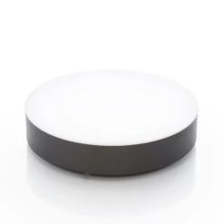 LED-Außendeckenlampe Lahja, IP65, Dunkelgrau -Paulmann Verkaufsgeschäft 9949016 2