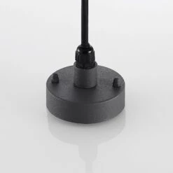 Lindby Filimon Außenpendellampe, Dunkelgrau, E27 -Paulmann Verkaufsgeschäft 9977049 7